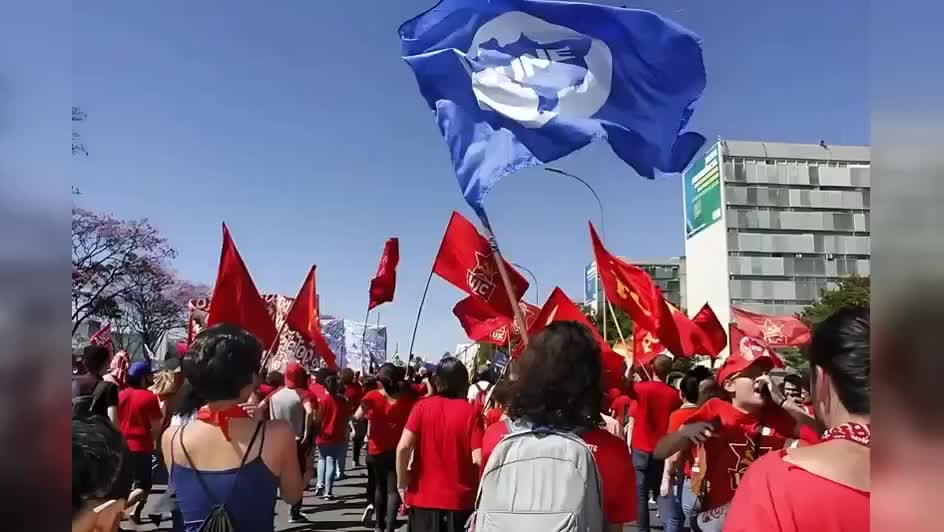 UNE flag